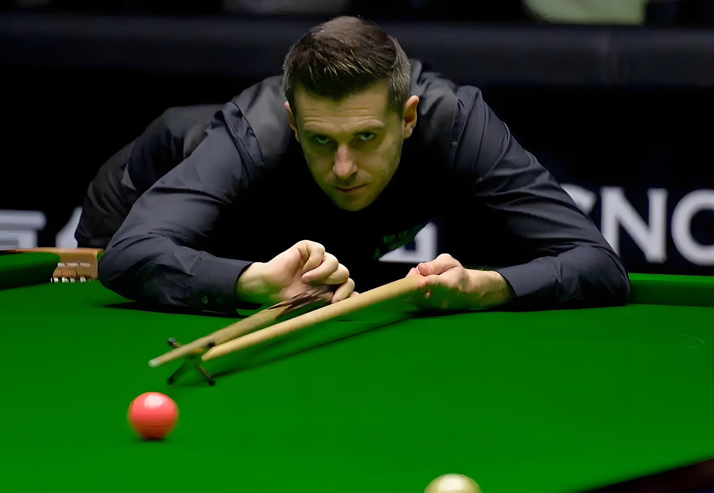 的万千球迷 的万千球迷