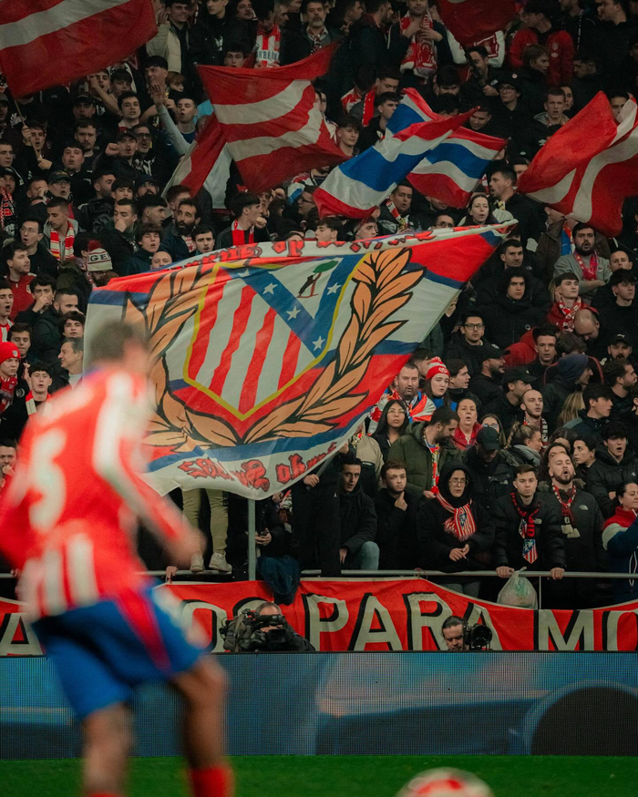 普荷斯在红 普荷斯在红